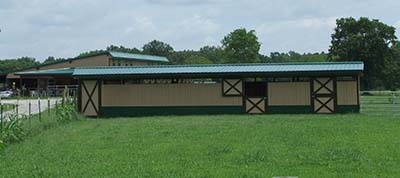Horse Mini Barn
