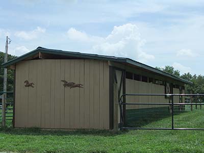 Horse Mini Barn