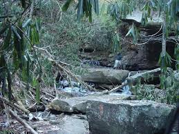 Big South Park Trails