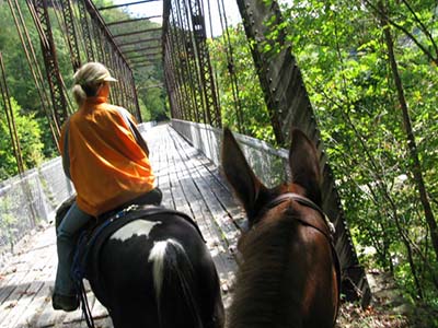 Horseback riding